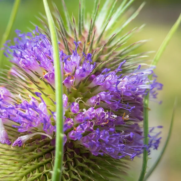 C7娱乐百家乐游戏